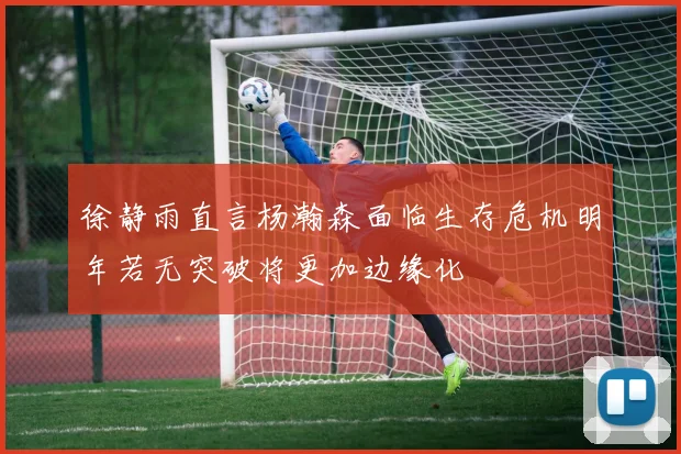徐静雨直言杨瀚森面临生存危机明年若无突破将更加边缘化