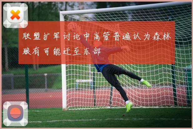 联盟扩军讨论中高管普遍认为森林狼有可能迁至东部