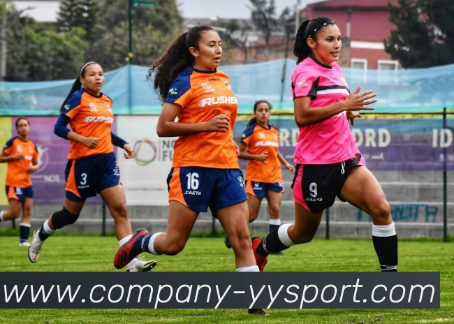 易游体育平台生态图