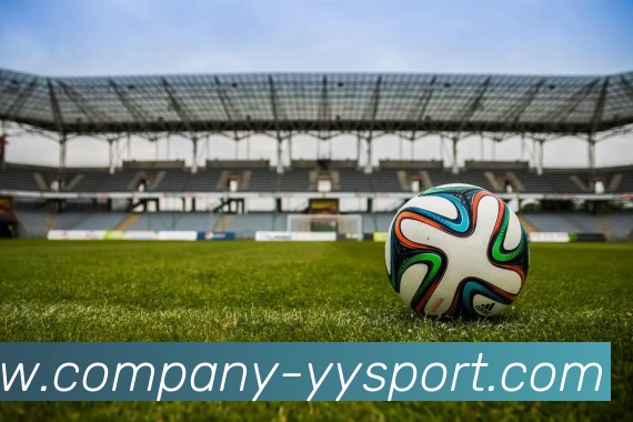 易游体育APP 封面图